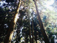 -娄山关景区