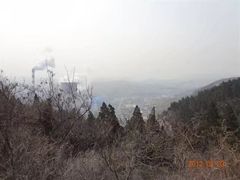 -原山国家森林公园