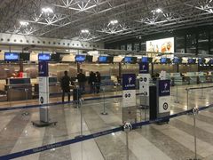 -米兰马尔彭萨国际机场