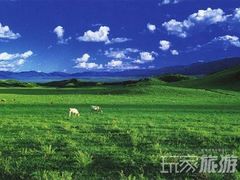 -木兰围场