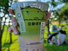 -宝藏绿洲(万象前海店)