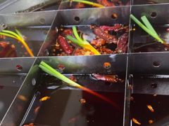 -乖嬢嬢重庆老火锅(南联店)