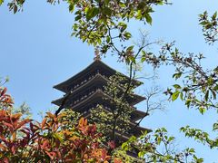 -牛首山文化旅游区