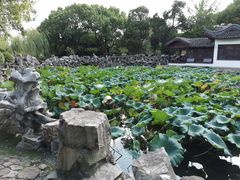 -无锡蠡湖国家湿地公园-蠡园