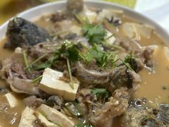 家常狗鱼-煲来饱去冷水鱼