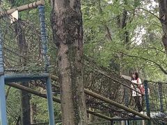 -国色天乡三期陆地乐园