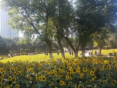 -长白岛森林公园