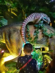 -恐龙探索乐园(磁器口店)