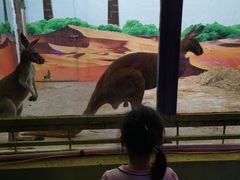 -荆州中山公园动物园