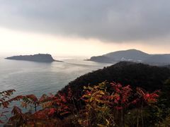 -怪坡茶馆