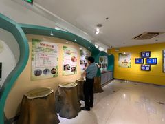 -上海昆虫博物馆