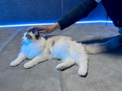 -零纪元VR体验馆·桌游(黄浦店)