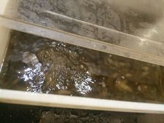 -三亚胜意海景酒店·海鲜自助餐厅(三亚湾路店)