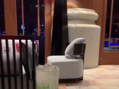 -海口万豪·大堂吧·望海吧.日落海景·下午茶·奶茶·咖啡·轻食·蛋糕·鸡尾酒·清吧