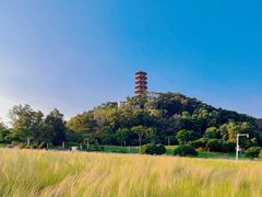-红花山公园