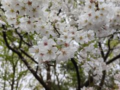 -杭州少年儿童公园