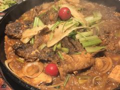 -老板恋上鱼(高新万达店)
