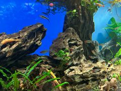 -太平洋海底世界