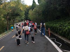 -神光山国家森林公园