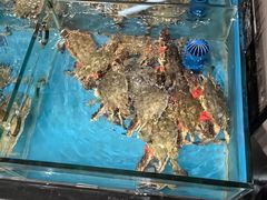 -隐厨·海鲜餐厅(恒通路店)