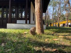 -西园戒幢律寺