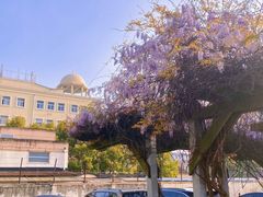 -双拥公园