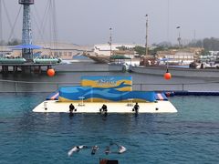 -秦皇岛乐岛海洋王国