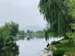 -羊亭河湿地公园