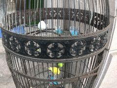 -老味道民宿(栈桥店)