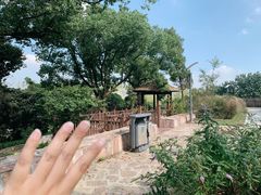 -上海市保健医疗中心