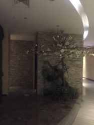 点击看大图 -娇莉芙美颜SPA连锁