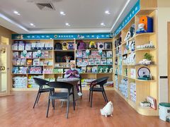 -千城康桥宠物医院·猫科·骨科·心脏