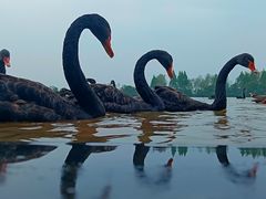 -艾溪湖湿地公园