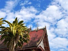 -西双版纳傣族园