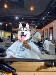 -东瀛造型