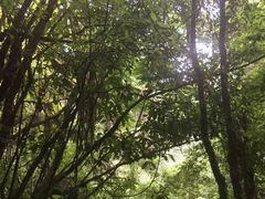 -怀托摩萤火虫洞