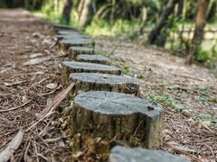 -南京市无想山景区