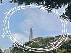 -深圳特区报业大厦