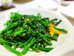姜汁芥兰苗-鹅公村·国家非遗传承(荔湾店)