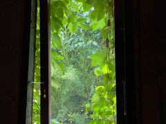 -斯多格书乡(北京大学畅春园店)