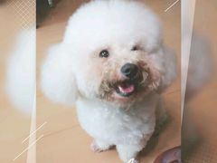 -芭比堂动物医院广州顽皮分院