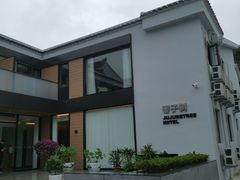 -枣子树·素食餐厅(普陀山店)