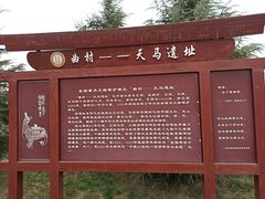 -晋国博物馆
