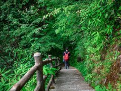 -光雾山旅游景区