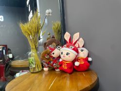 -CICI街舞专业培训