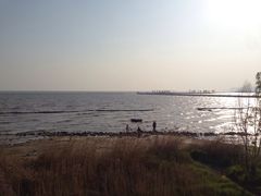 -合肥滨湖国家森林公园