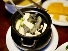 姜丝花条豆腐汤-大厝宅海鲜馆