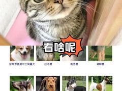 -天鹅到家·保姆月嫂育儿嫂(总店)