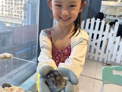 -怪兽屋·羊驼·猫咖·狗咖(俊华广场店)