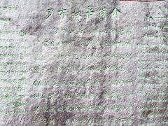 -罗布林卡